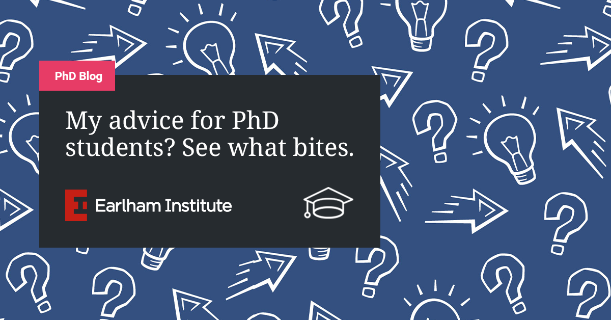 phd advice blogs